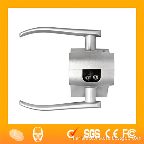 LF100 Double Sides Advanced Face Verification Industrial Door Lock